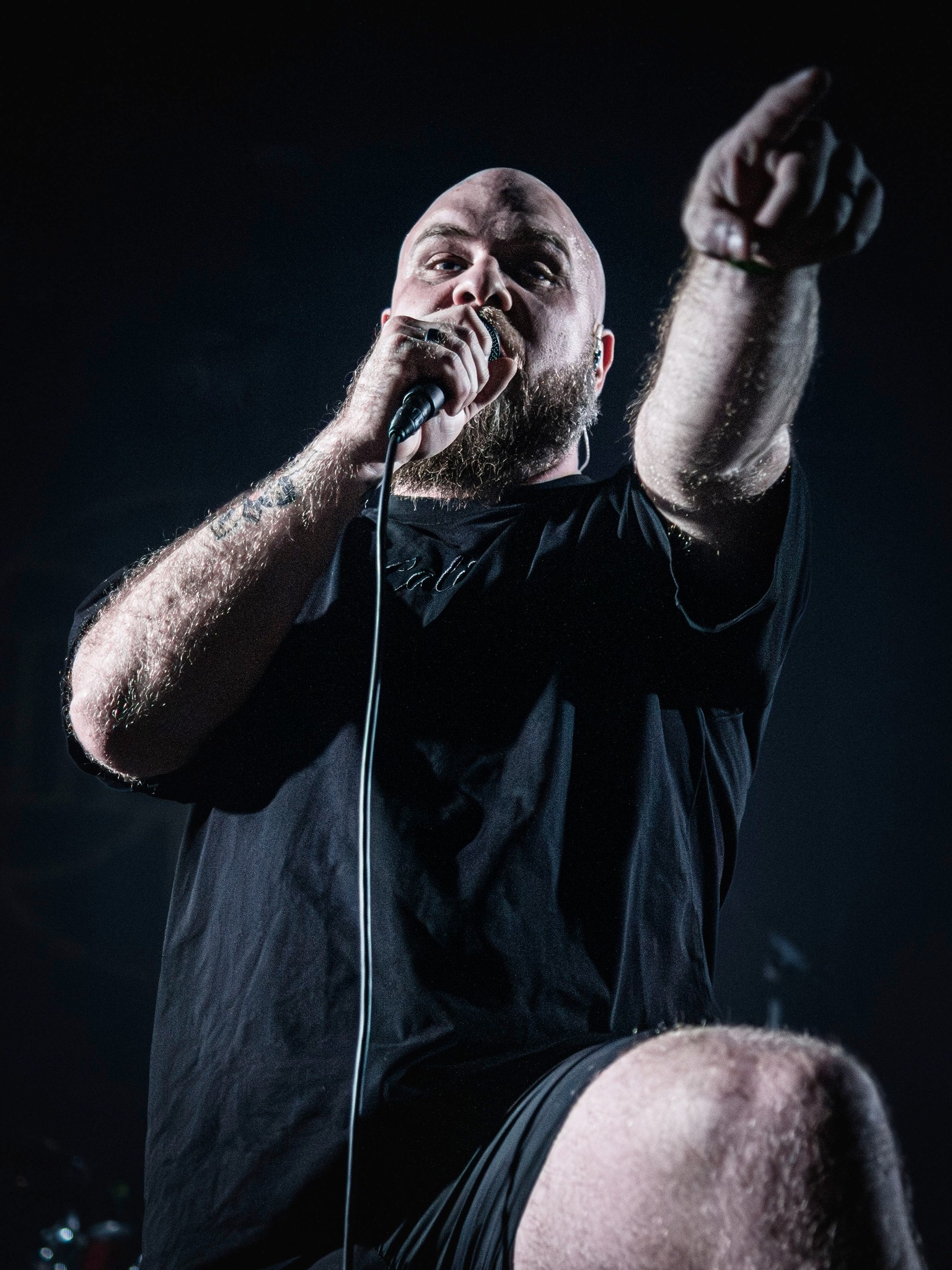 GHIDRAH Live